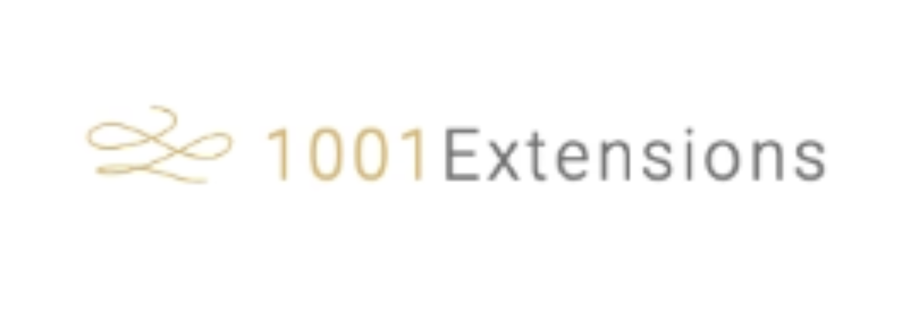 1001extensions logo